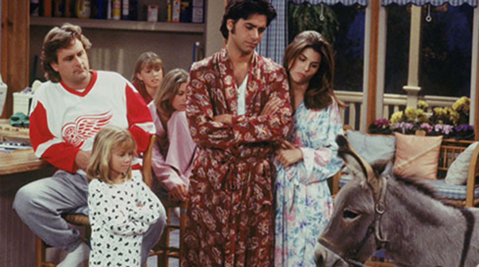 Full House Season 8 Tv