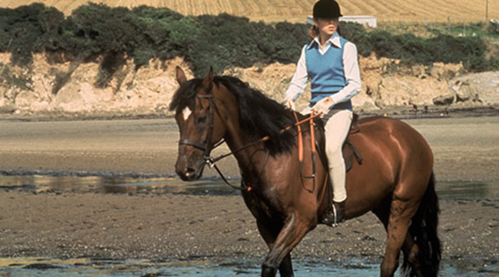 International Velvet Movies