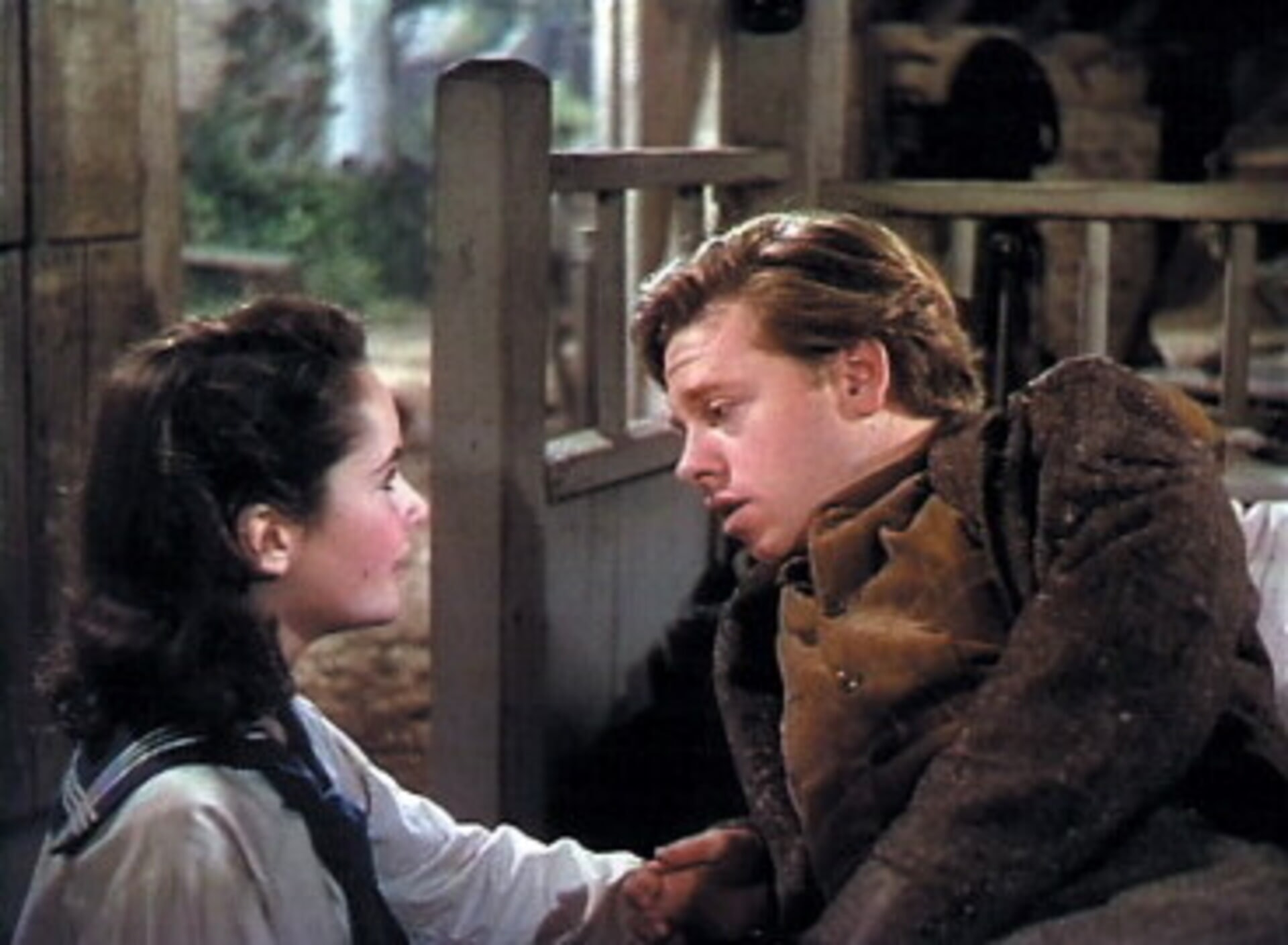 National Velvet Movies