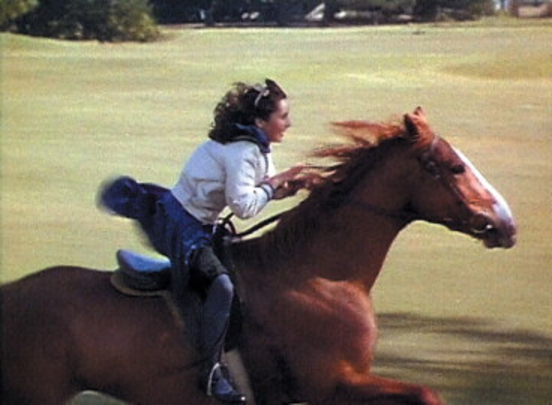 National Velvet Movies