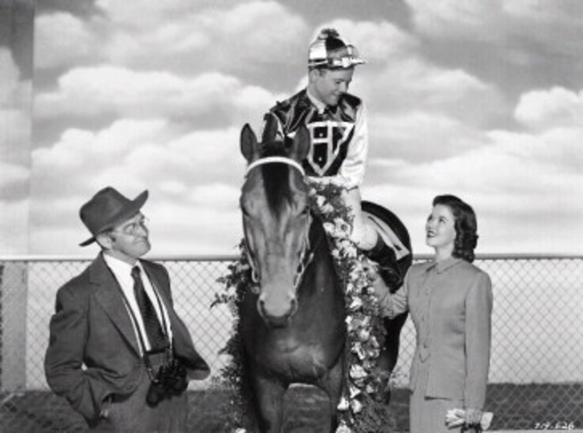 The Story of Seabiscuit Movies