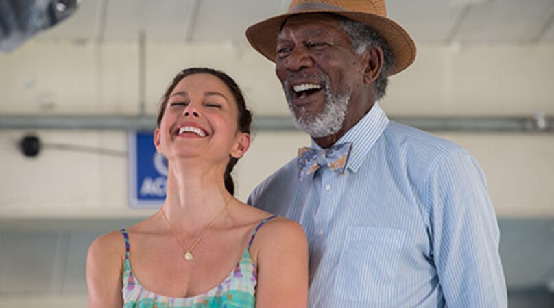 Dolphin Tale 2 - Image - Image 3