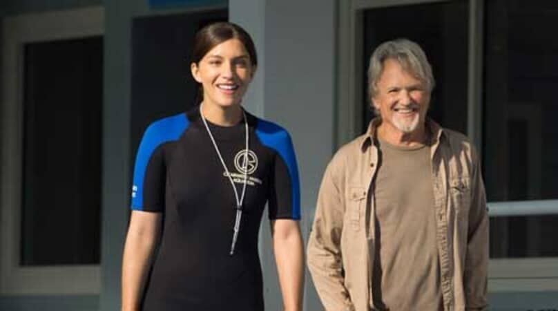 Dolphin Tale 2 - Image - Image 24