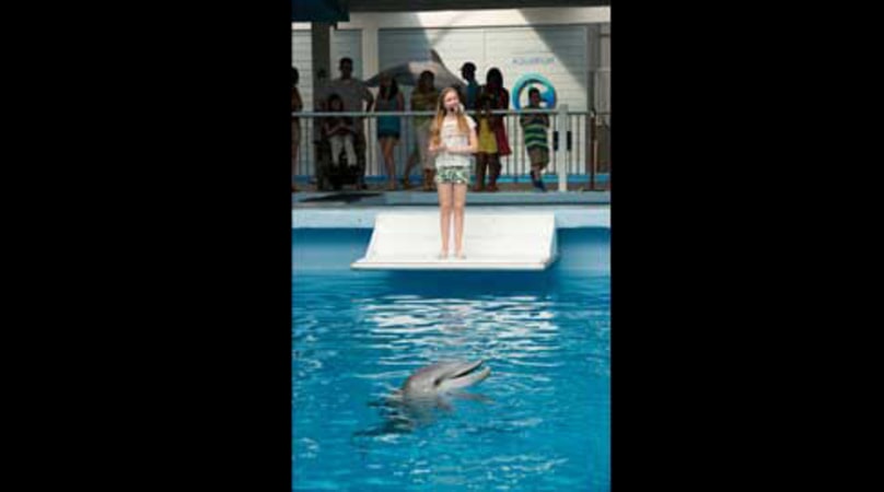Dolphin Tale 2 - Image - Image 6