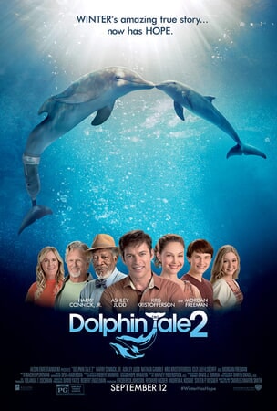 Dolphin Tale 2 - Image - Image 32