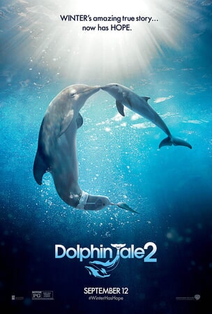Dolphin Tale 2 - Image - Image 33