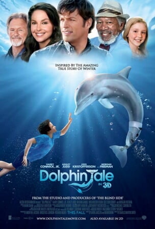 Dolphin Tale - Image - Image 1