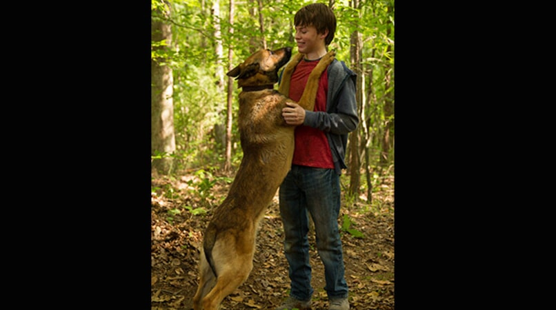 WarnerBros.com | Max | Movies