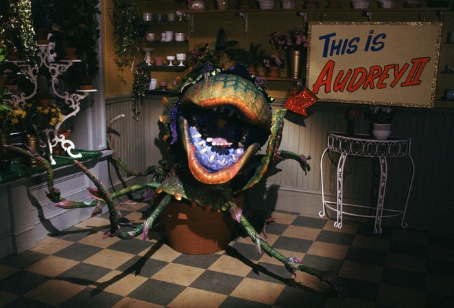 Little shop of horrors hotsell streaming