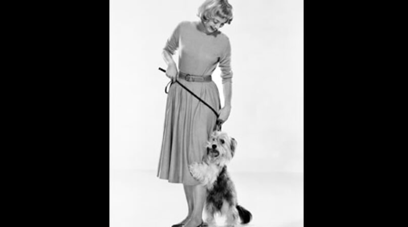 WarnerBros.com | The Tender Trap | Movies