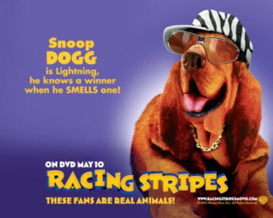  Racing Stripes