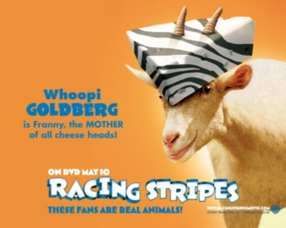 Racing 2025 stripes 123movies