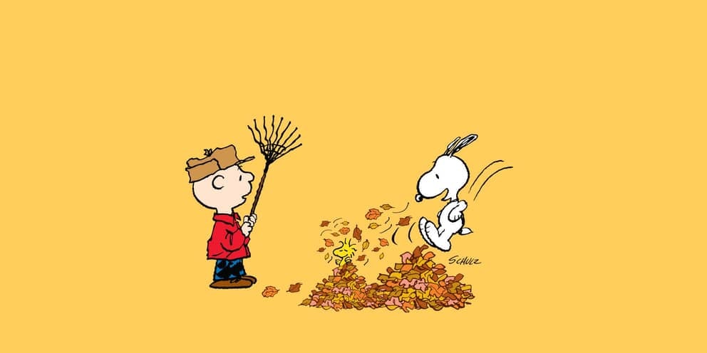 charlie brown thanksgiving wallpaper backgrounds