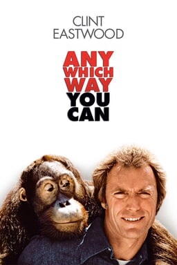 Any Which Way You Can keyart