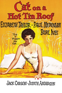 Cat on a Hot Tin Roof keyart