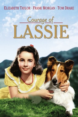 Courage Of Lassie VHS