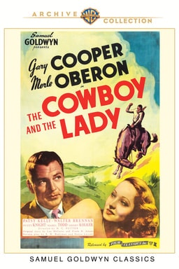 the cowboy and the lady poster