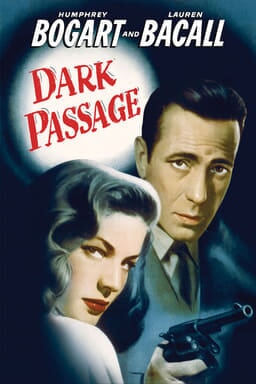 Dark Passage keyart