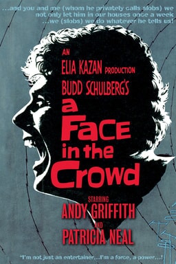 Face in the Crowd keyart 