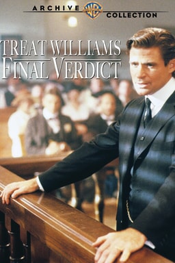Final Verdict keyart