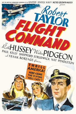 Flight Command keyart