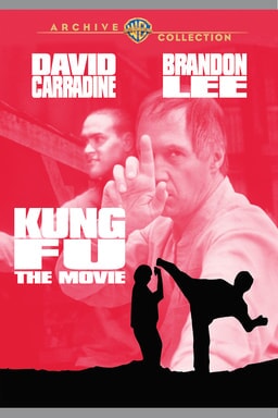 WarnerBros.com | Kung Fu: The Movie | TV