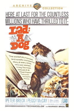 Lad: A Dog keyart