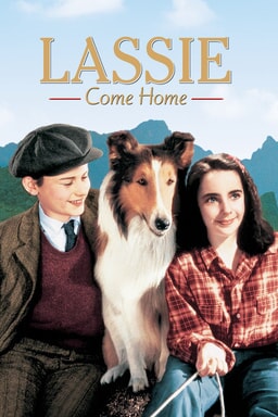 lassie come home now on dvd and digital