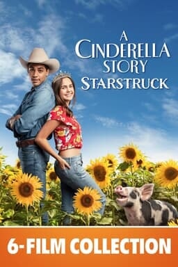 cinderella_story_6film_keyart