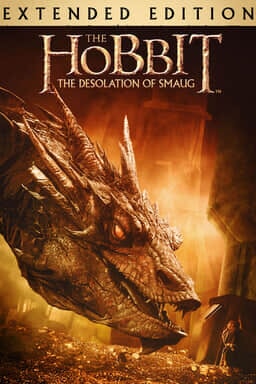 The Hobbit: The Desolation of Smaug (Extended Edition) - Key Art