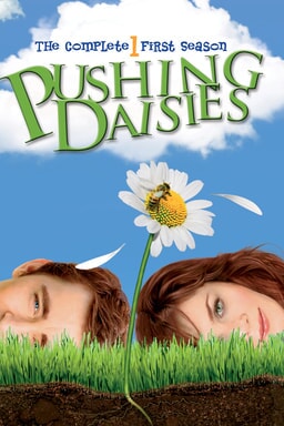 Pushing Daisies: Season 1 keyart