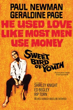 youth bird sweet 1962 warnerbros keyart