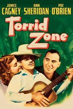 Torrid Zone keyart