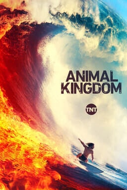  | Animal Kingdom: Season 4 | TV