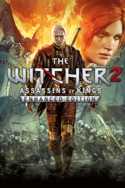 Witcher 2: Assassins of Kings keyart