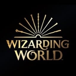  Wizarding World